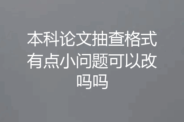本科论文抽查格式有点小问题可以改吗吗