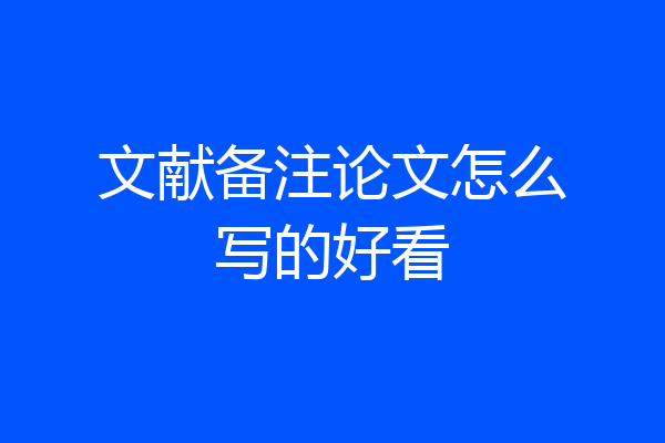 文献备注论文怎么写的好看