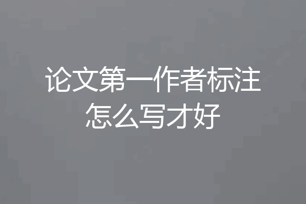 论文第一作者标注怎么写才好