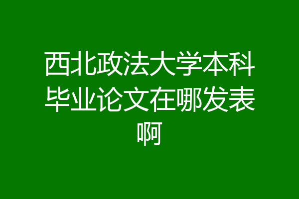 西北政法大学本科毕业论文在哪发表啊