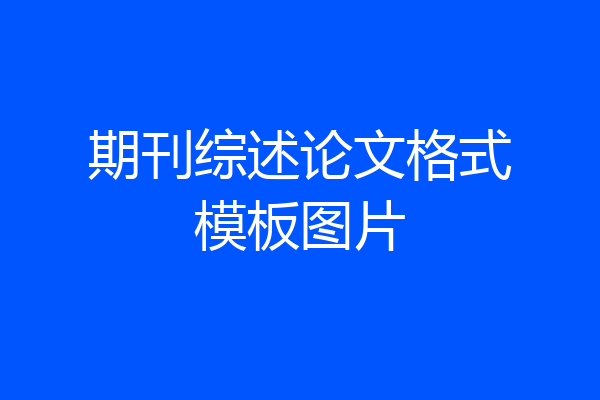 期刊综述论文格式模板图片