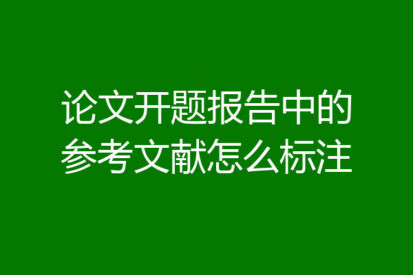 论文开题报告中的参考文献怎么标注