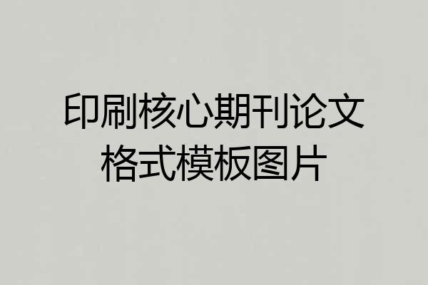 印刷核心期刊论文格式模板图片