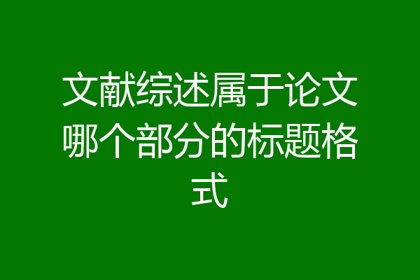 文献综述属于论文哪个部分的标题格式