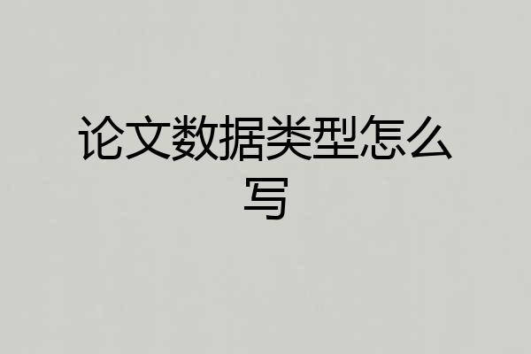 论文数据类型怎么写