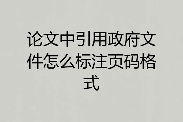 论文中引用政府文件怎么标注页码格式