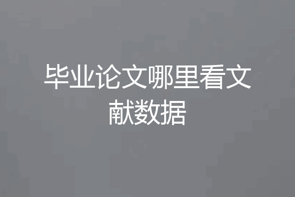 毕业论文哪里看文献数据