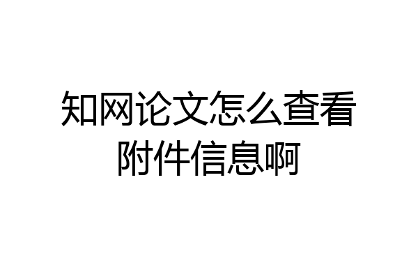知网论文怎么查看附件信息啊