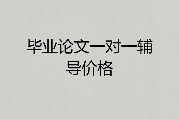 毕业论文一对一辅导价格