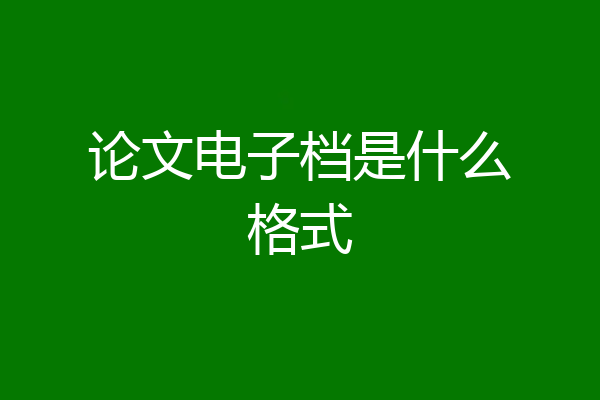 论文电子档是什么格式