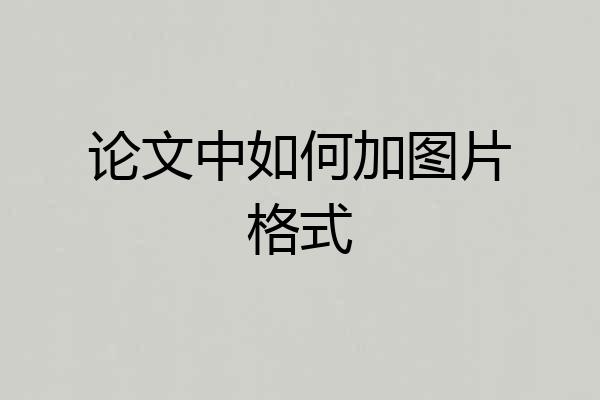 论文中如何加图片格式