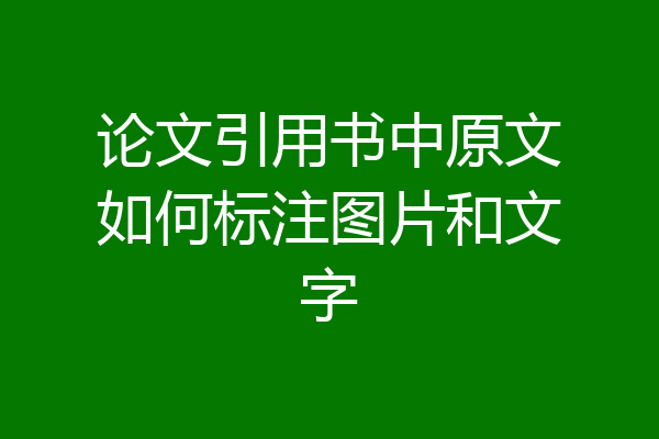 论文引用书中原文如何标注图片和文字