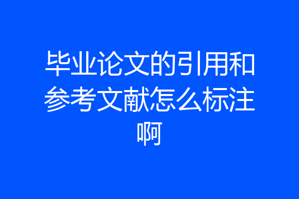 毕业论文的引用和参考文献怎么标注啊