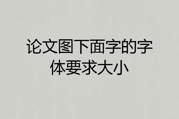 论文图下面字的字体要求大小
