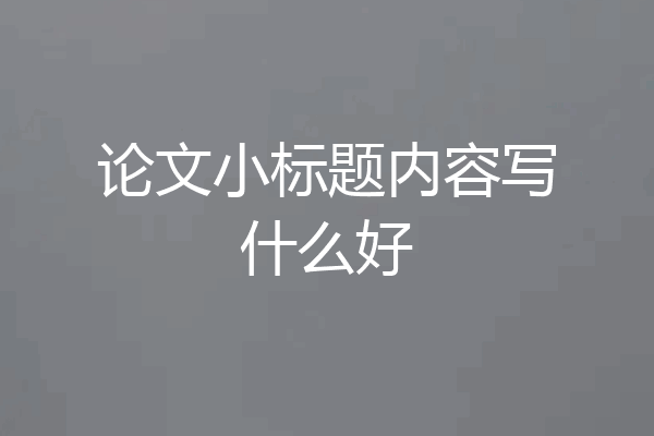 论文小标题内容写什么好