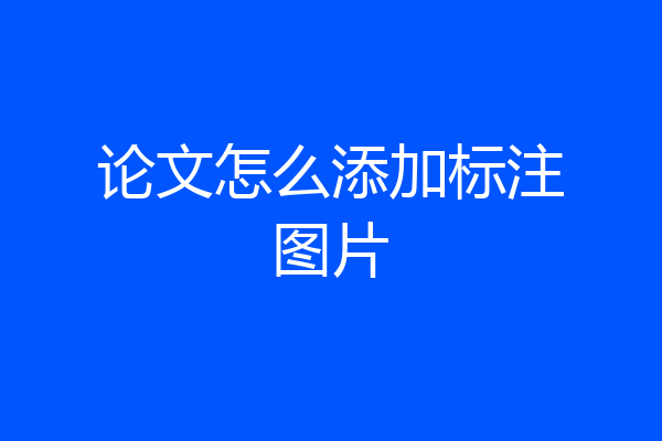 论文怎么添加标注图片