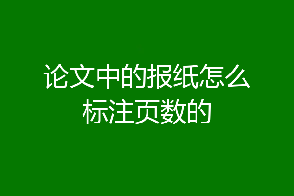 论文中的报纸怎么标注页数的