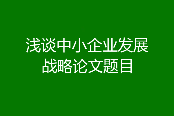 浅谈中小企业发展战略论文题目