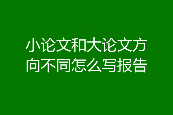小论文和大论文方向不同怎么写报告