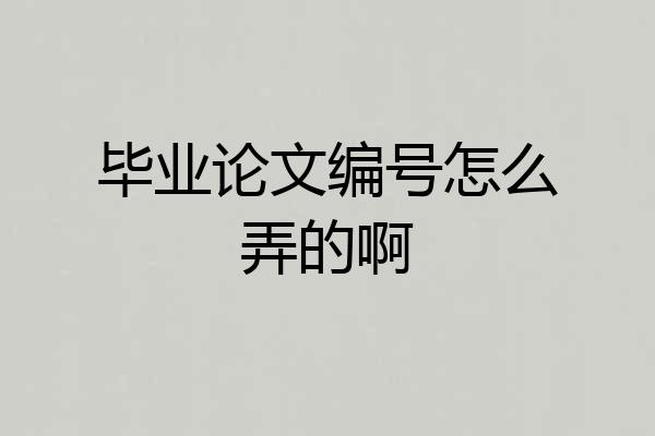 毕业论文编号怎么弄的啊