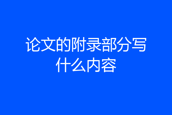 论文的附录部分写什么内容