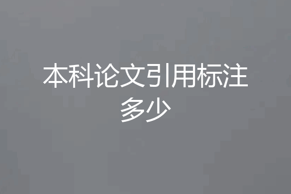 本科论文引用标注多少