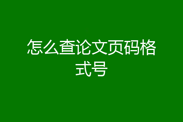 怎么查论文页码格式号