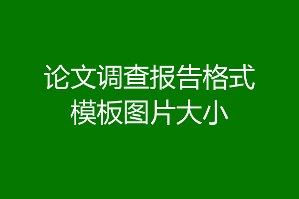 论文调查报告格式模板图片大小