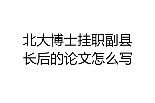 北大博士挂职副县长后的论文怎么写