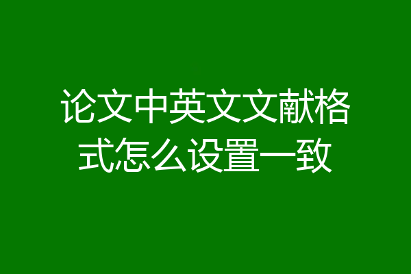 论文中英文文献格式怎么设置一致