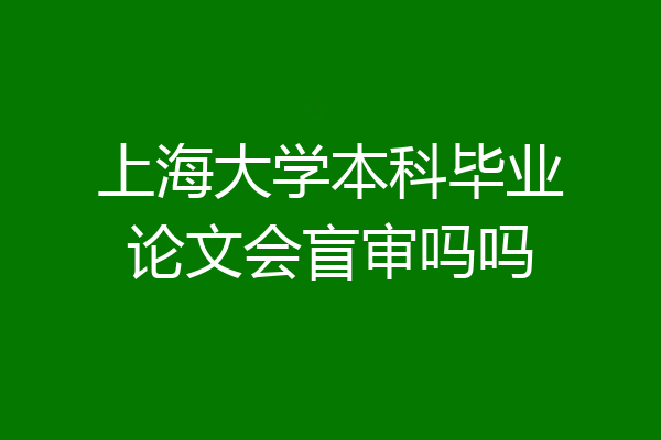 上海大学本科毕业论文会盲审吗吗