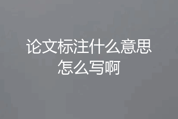 论文标注什么意思怎么写啊