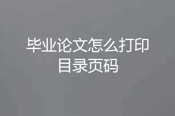 毕业论文怎么打印目录页码