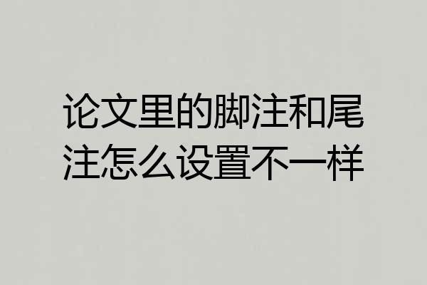 论文里的脚注和尾注怎么设置不一样