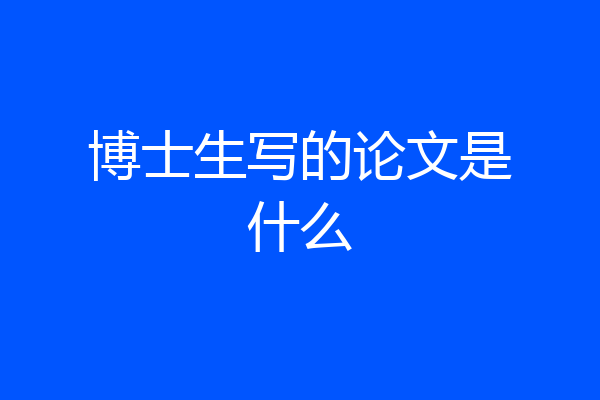博士生写的论文是什么
