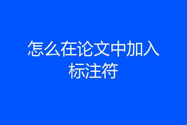 怎么在论文中加入标注符