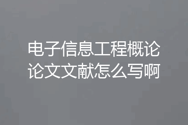 电子信息工程概论论文文献怎么写啊