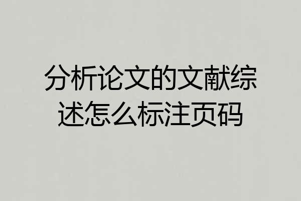分析论文的文献综述怎么标注页码