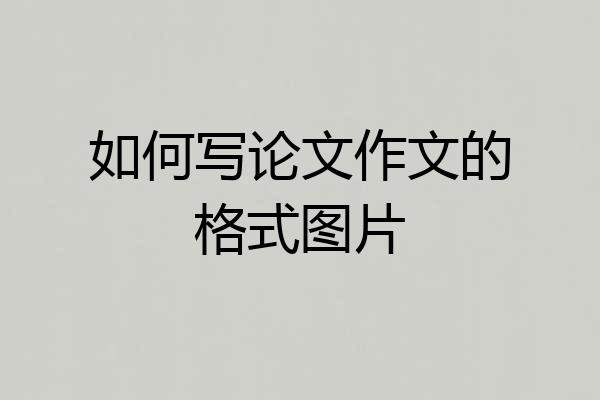 如何写论文作文的格式图片