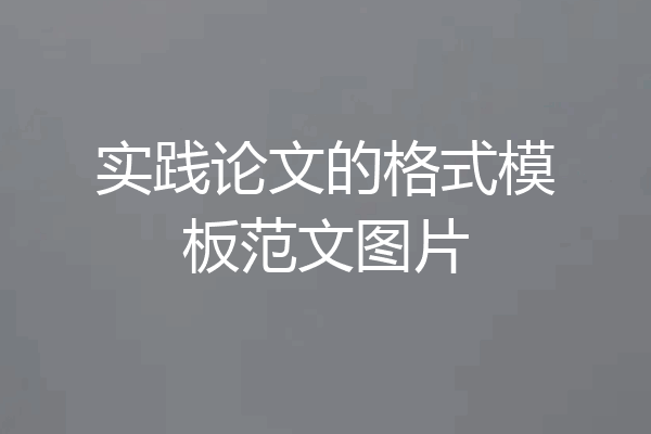 实践论文的格式模板范文图片