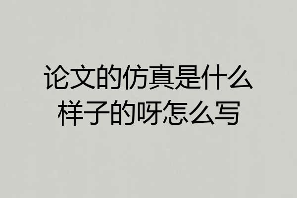 论文的仿真是什么样子的呀怎么写
