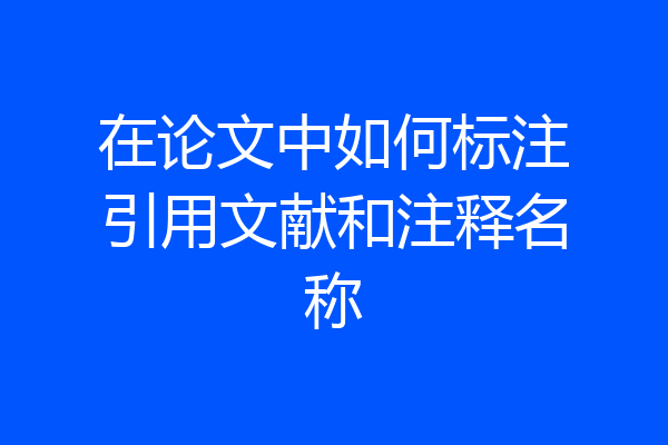 在论文中如何标注引用文献和注释名称