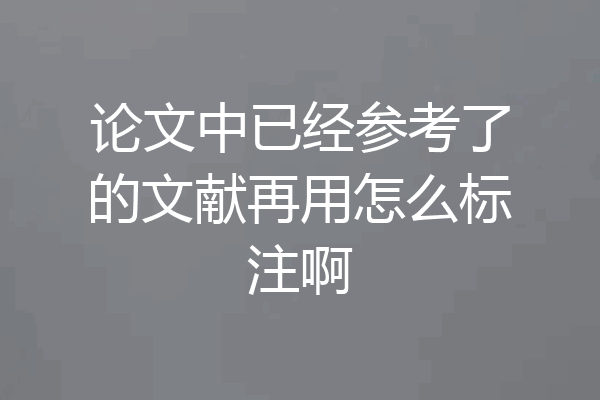 论文中已经参考了的文献再用怎么标注啊