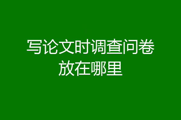 写论文时调查问卷放在哪里