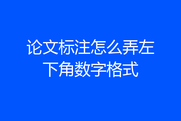 论文标注怎么弄左下角数字格式