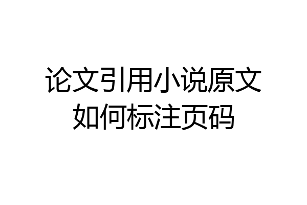 论文引用小说原文如何标注页码