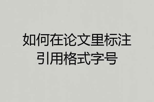 如何在论文里标注引用格式字号