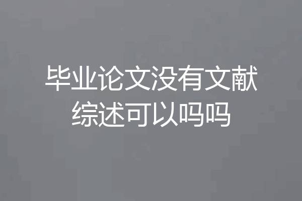 毕业论文没有文献综述可以吗吗