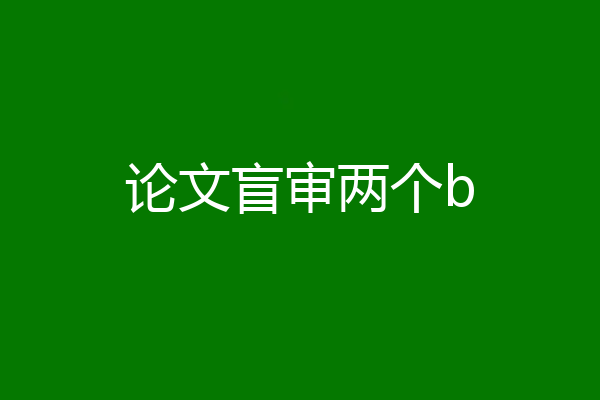 论文盲审两个b