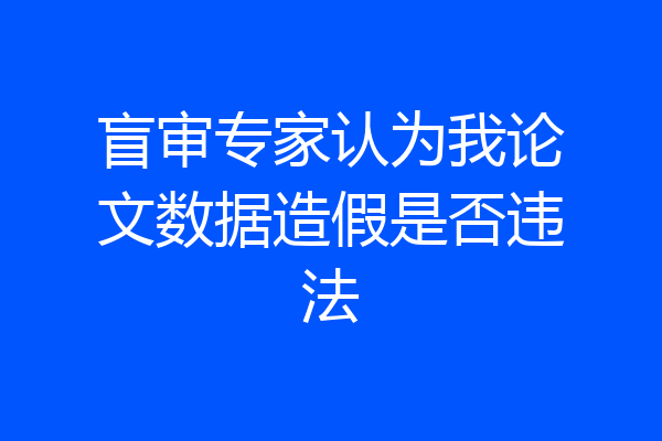 盲审专家认为我论文数据造假是否违法